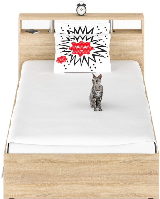 Камелия Кровать с ящиками 1200, дуб сонома