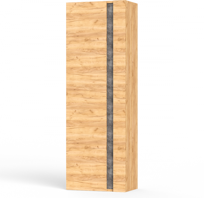 Арчи Шкаф комбинированный 10.05, дуб крафт золотой/камень тёмный