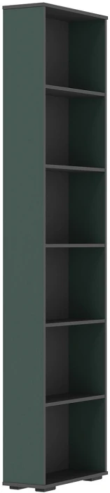 Терминал Норд, Графит серый/Изумрудный