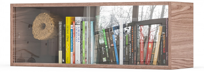 Полка книжная С-МД-КН01, ясень шимо тёмный