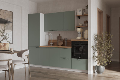 КГ 2550 Эмаль, Олива  Арника РМ в.10