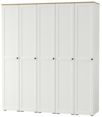 Остин 13.225 Шкаф-пенал 5 шт., белый шагрень/дуб крафт золотой